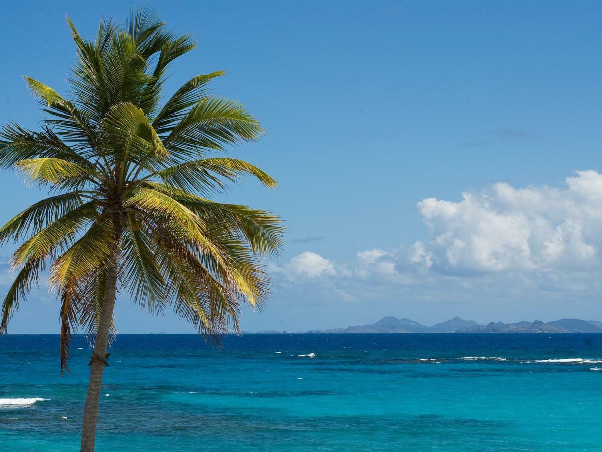 Coral Beach Club Villas & Marina Sint Maarten Екстер'єр фото